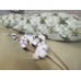 Комплект постільної білизни Абстракція, cotton Комплект постільної білизни Абстракція, cotton