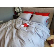 Комплект постільної білизни MULTI stripe SILVER