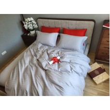 Комплект постільної білизни MULTI stripe SILVER