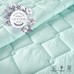 Набір Tropical IDEIA, євро ковдра 200 x 220 см + 2 подушки 50 x 70 см, антиалергенний, м’ята