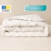 Ковдра всесезонна Antistatic Sleep, 175 x 210 см, двоспальна, антистатична тканина, гіпоалергенна, ТМ IDEIA