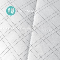 Ковдра всесезонна Antistatic Sleep, 200 x 220 см, євро, антистатична тканина, гіпоалергенна, ТМ IDEIA