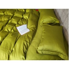 Комплект постільної білизни PISTACHIO, Turkish satin