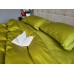 Комплект постільної білизни PISTACHIO, Turkish satin