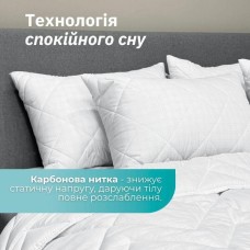 Подушка Antistatic Sleep 50 x 70 см, антистатична тканина, штучний пух, з блискавкою, ТМ IDEIA