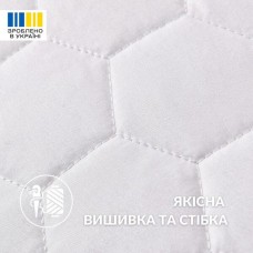 Подушка ортопедична Гречаний Комфорт 50 x 70 см з наволочкою, з валиком для підтримки шиї, ТМ IDEIA Подушка ортопедична Гречаний Комфорт 50 x 70 см з наволочкою, з валиком для підтримки шиї, ТМ IDEIA