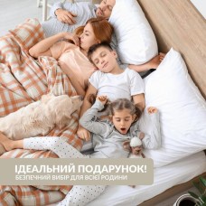 Подушка з наволочкою NORDIC+ 40 x 140 см., антиалергенна на блискавці, біло-сіра, ТМ IDEIA