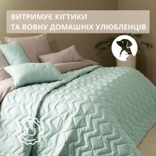 Покрывало ЛЮКС TM IDEIA 240 x 260 см мята/св.сірий