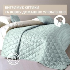 Покрывало Стиль Cube TM IDEIA 210 x 240 см мята/св.сірий