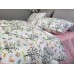 Комплект постільної білизни Пташенята, cotton Цільн.