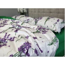Комплект постільної білизни Сатин PREMIUM, LAVENDER