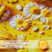 Скатертина IDEIA 140x170 см із захистом від плям Teflon, бавовна, принт жовті пончики Скатертина IDEIA 140x170 см із захистом від плям Teflon, бавовна, принт жовті пончики