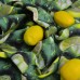 Скатертина із захистом від плям IDEIA, 140 x 170 см, бавовна, Teflon ефект, лайм