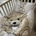 Комплект постільної білизни Teddy bear, cotton